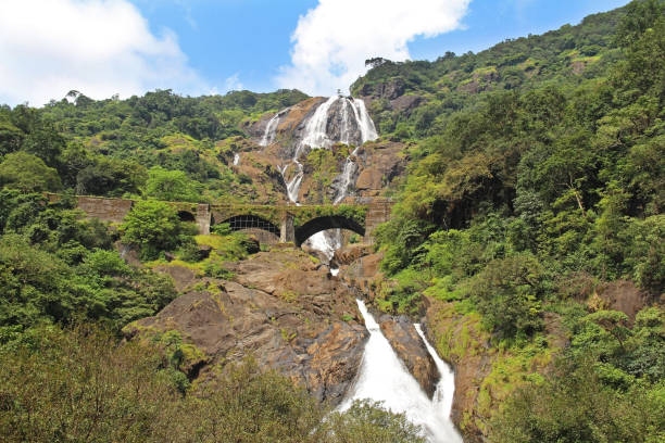 Dudhsagar Falls Waterfall Bhagwan Mahavir Wildlife Sanctuary Goa India  Stock Photo - Download Image Now - iStock