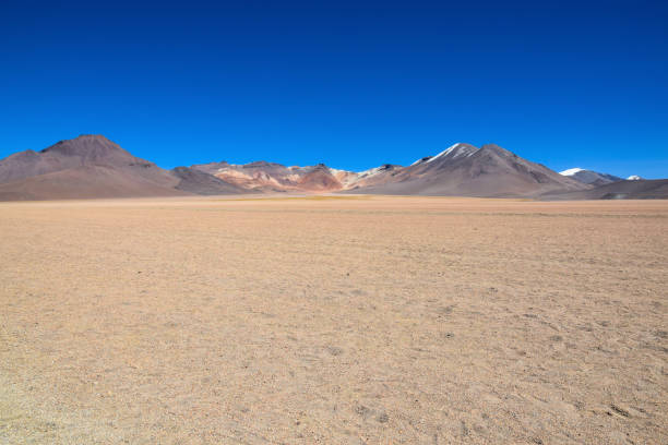 istock Landscape at the Altiplano (Bolivia) 1152604166