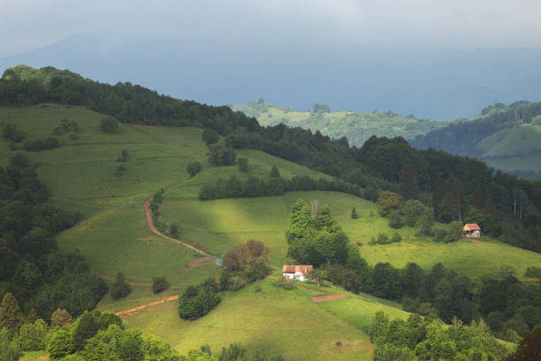 istock Summer green hills in Transylvania 1152604419