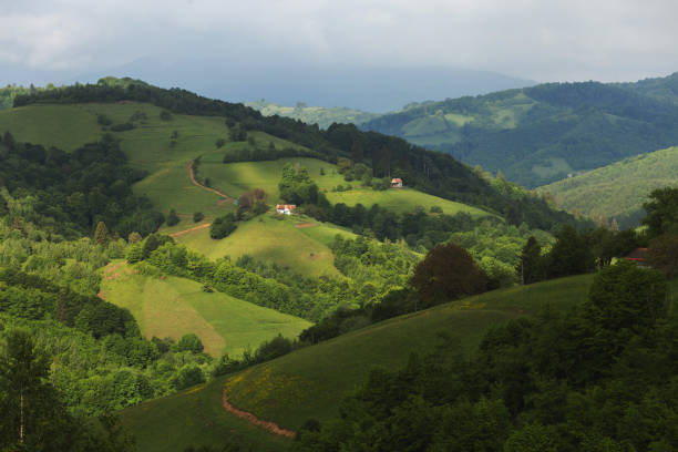 istock Summer green hills in Transylvania 1152604549
