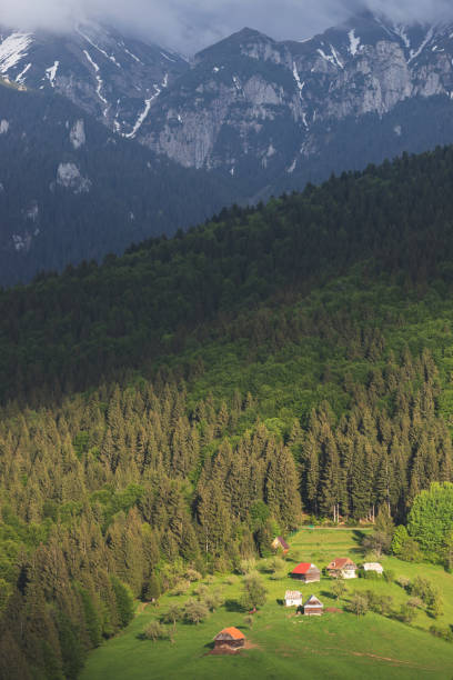 Beautiful summer green hills in Transylvania. Sunrise landscape in the Romanian mountain village
