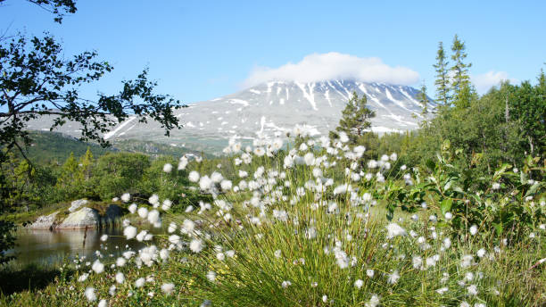 istock Gaustatoppen Gaustablikk Rjukan Norway 1152606762