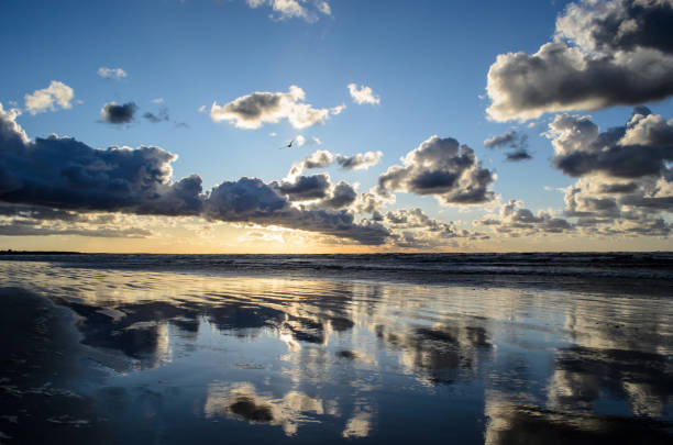 Seaside Image taken in New Zealand