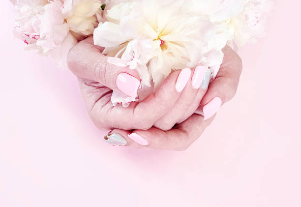 istock female hands manicure flower peony on a pink background 1152608367