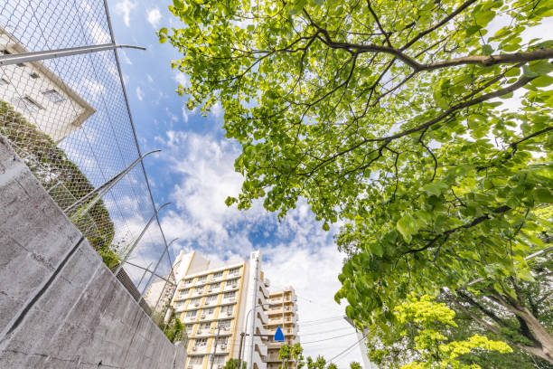 istock Blue sky and fresh green and buildings 1152610936