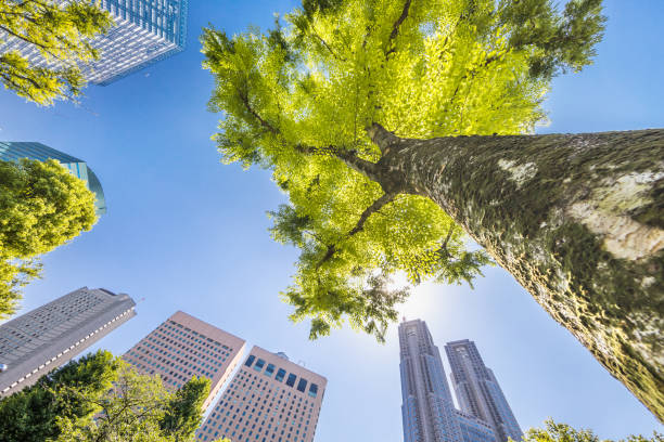 istock Blue sky and fresh green and buildings 1152610945