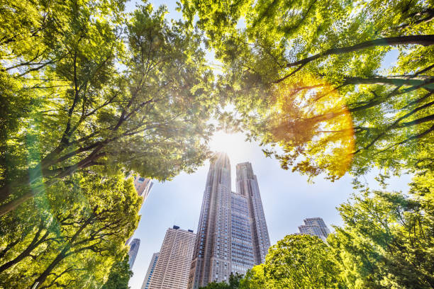 istock Blue sky and fresh green and buildings 1152611018