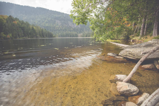 istock Landscape at the big Arbersee in Bavaria 1152611020