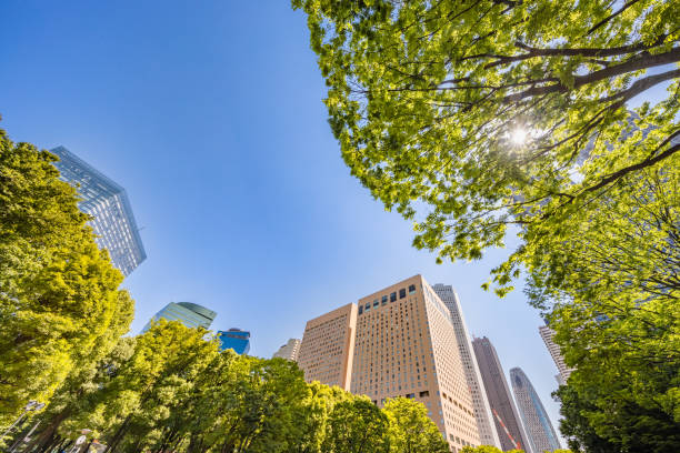 istock Blue sky and fresh green and buildings 1152611179