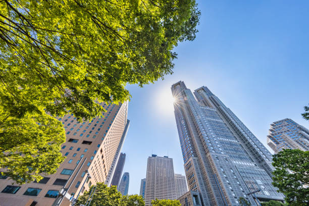 istock Blue sky and fresh green and buildings 1152611311