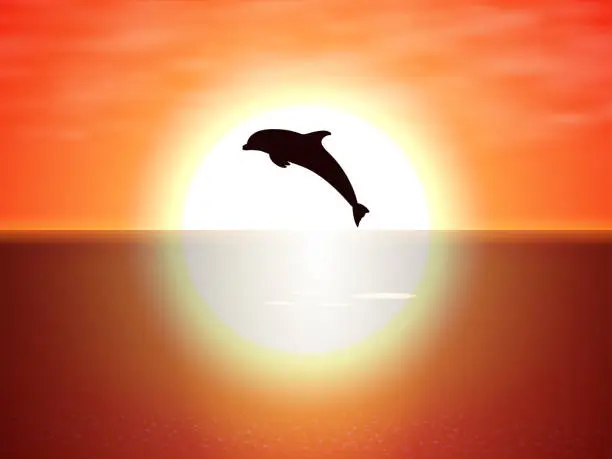 Vector illustration of Dolphin jumping over the water of the sunset sun