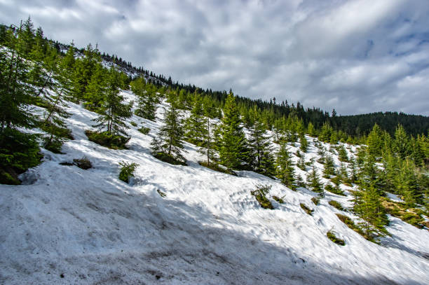 istock Spring landscape in the mountains 1152614853