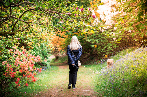 Color image depicting a senior woman in her 60s or 70s walking by herself in the park, anjoying the freedom of nature and surrounded by fresh blossoming flowers. Plenty of room for copy space.