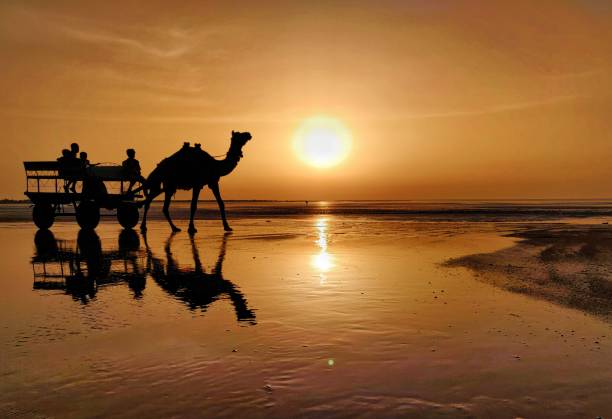 istock Silhouette of camel cart 1152617627