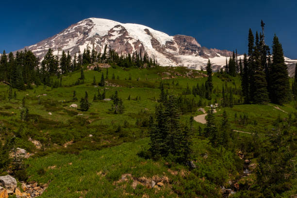 istock A snow capped mountain, Mount Rainier, at spring time with a lush green meadow sprinkled with wild lowers in the foreground and hikers walking one of the trails 1152618719