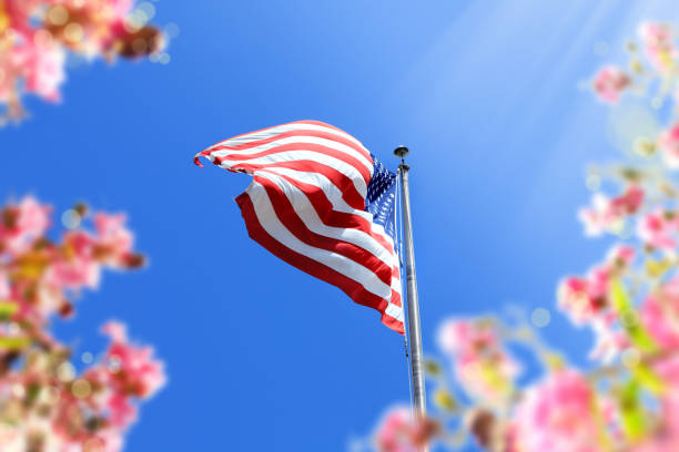 bandeira americana de ondulação no mastro e nas flores sobre o céu ensolarado - fourth of july patriotism star shape red - fotografias e filmes do acervo