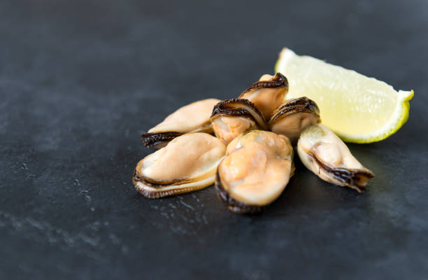 istock several marinated mussels with a slice of lime on a black background, seafood, shellfish, 1152620738