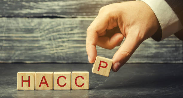istock A man puts wooden blocks with the word HACCP. Hazard analysis and critical control points. Quality management rules for food industry. Food safety from biological, chemical, and physical hazards 1152621438