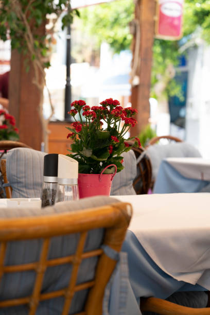 istock cafe place, flower pot on table 1152625226