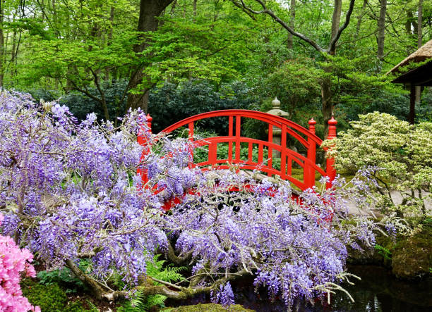 istock Japanese Garden 1152625388