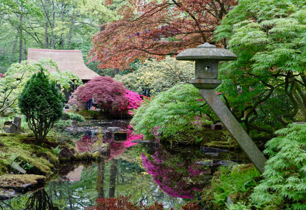 istock Japanese Garden 1152625588
