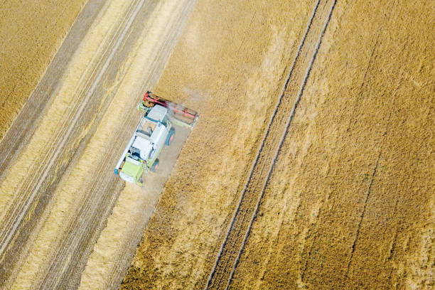 istock Combine harvester working on a wheat field. Combine harvester Aerial view. 1152625748