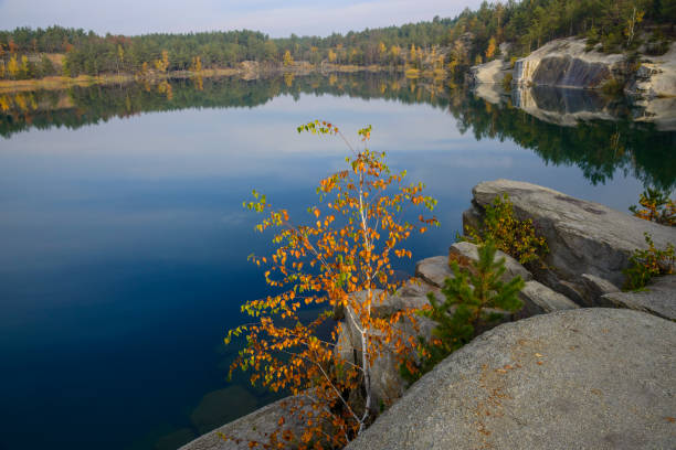 istock Little autumn tree and big blue lake 1152628902
