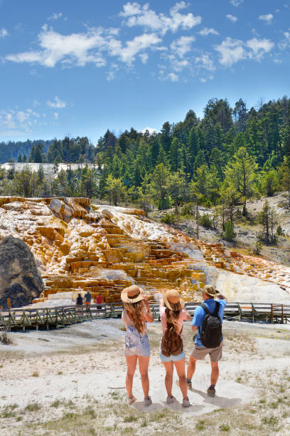 산에서 여름 휴가 여행에 가족 하이킹. - wyoming family mountain vacations 뉴스 사진 이미지