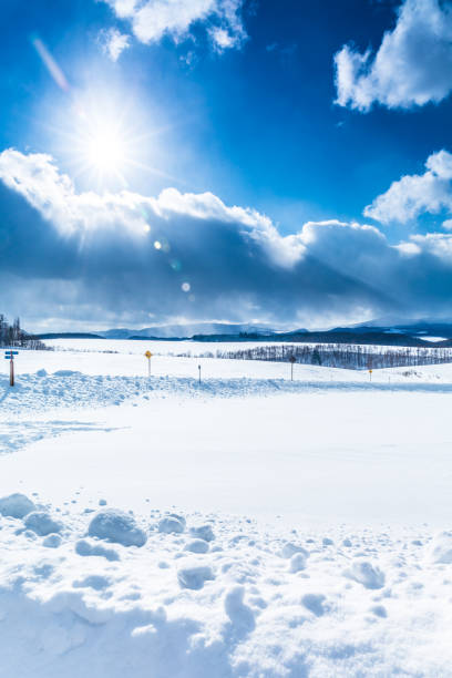 Biei Town, Hokkaido, Japan, Agricultural Field, Agriculture