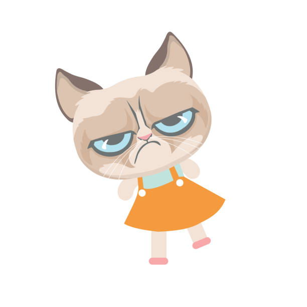 Cute grumpy cat in costume. Cute grumpy cat in costume.Cute grumpy cat in costume. fat ugly face stock illustrations