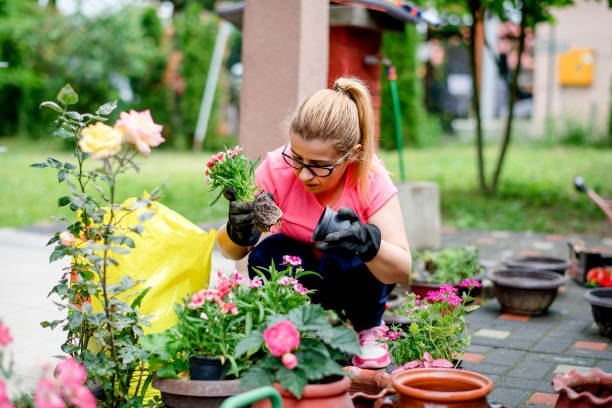 istock Young woman planting 1152631407