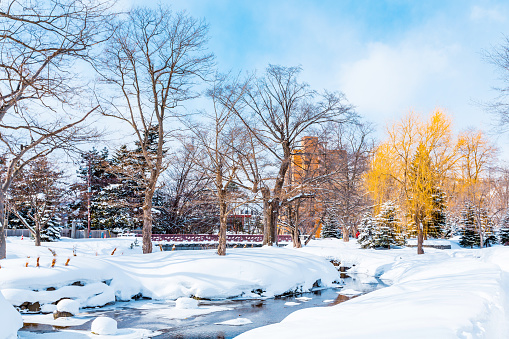 Winter on the ice river.  Winter landscape.