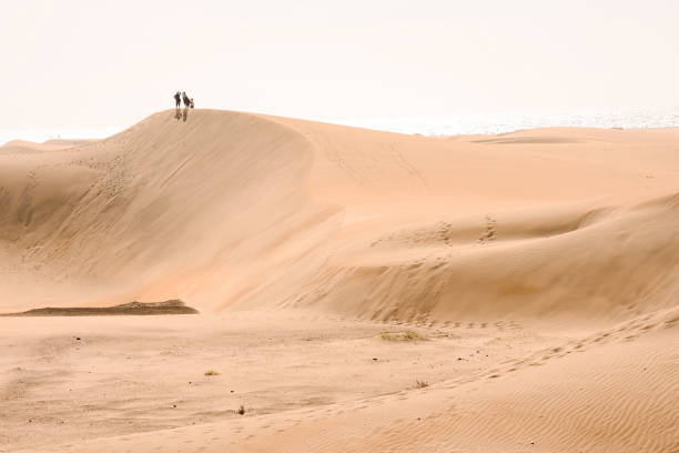 istock Dry Desert Landscape in Maspalomas Gran Canaria Canary Islands 1152638104