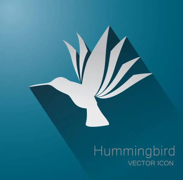 Vector illustration of Hummingbird symbol
