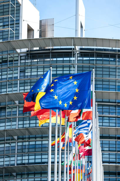 bandeiras de todos os estados membros do parliament da união européia - european union flag european community brussels europe - fotografias e filmes do acervo