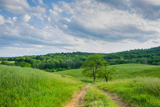 Beautiful countryside view in Virginia USA