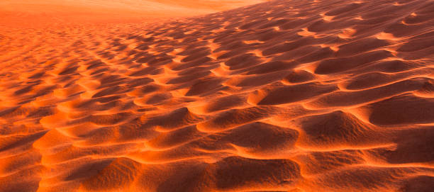 istock desert dunes in the sand 1152647739
