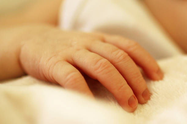 Hand holding newborn baby's hand