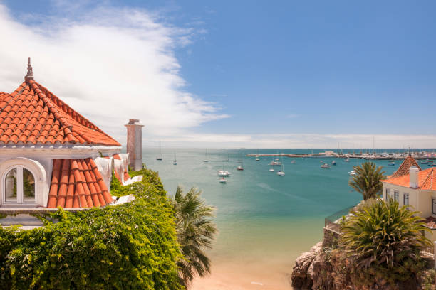 여름 한낮에 포르투갈에서 카스카이스의 마리나 - yacht harbor anchored bay 뉴스 사진 이미지
