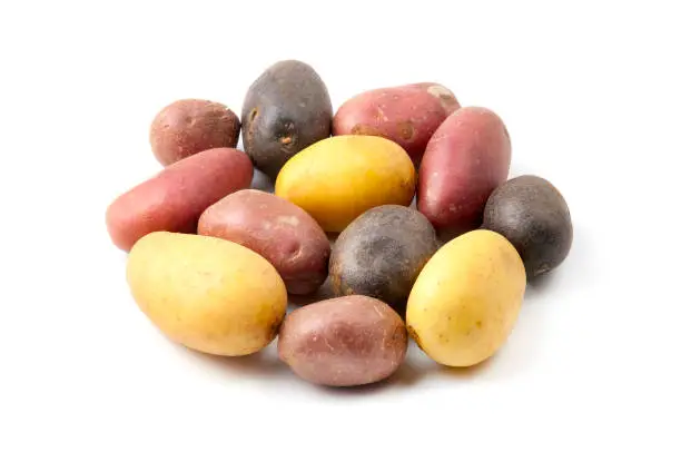 Potatoes with different pigmentation (Solanum tuberosum) on a white background