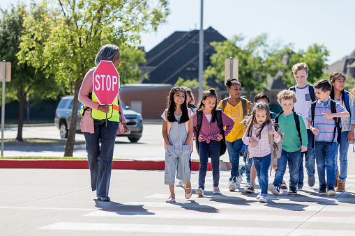 A senior female crossing guard holds her stop sign out to traffic and leads the school children across the street on the crosswalk.