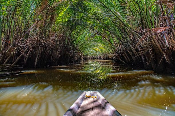 istock Boat on the bangbaimai river thailand 1152657114