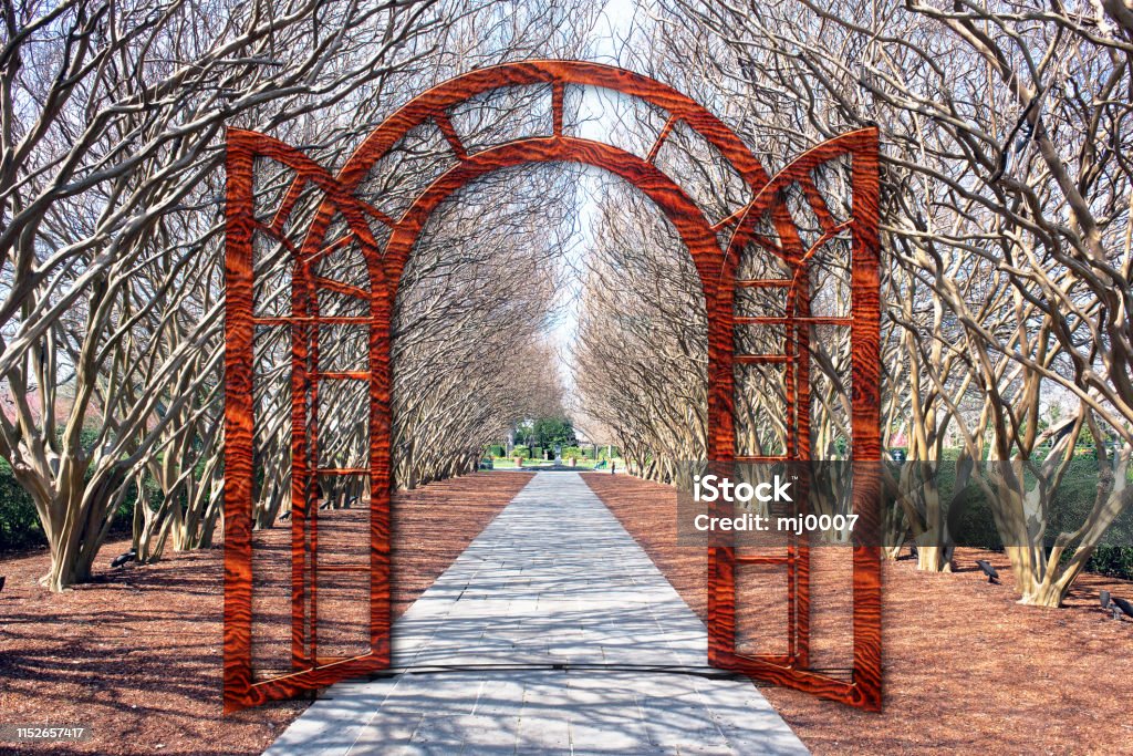 Tree Tunnel Gateway through crape mytle trees ,will make great background. Dallas - Texas Stock Photo