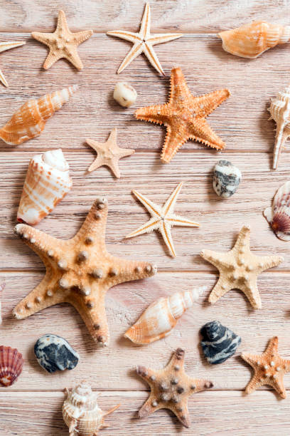 istock Starfish and seashells background on a wooden table, top view, flat lay 1152658058