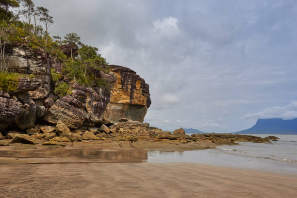 istock The beach of Bako National Park 1152658802