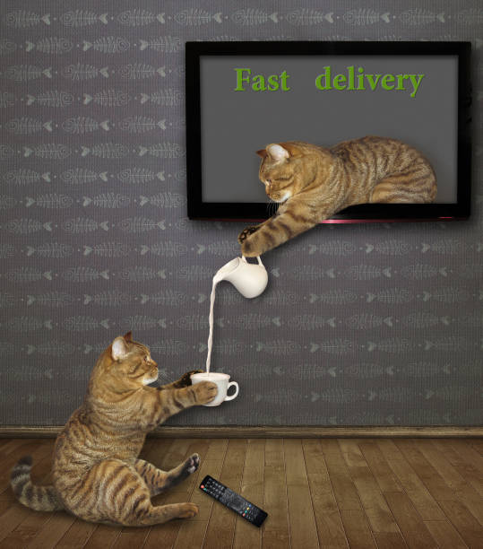 istock Cat pours milk through the TV screen 2 1152667838