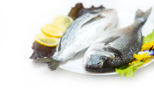istock Two raw fresh dorado fish with spices and lemon on a white table. 1152670779