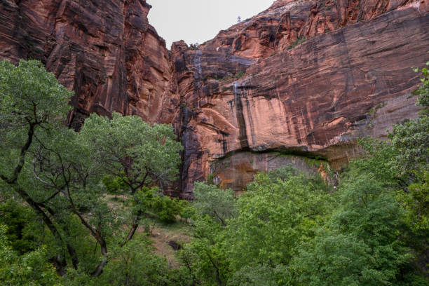 istock Zion National Park 1152670905