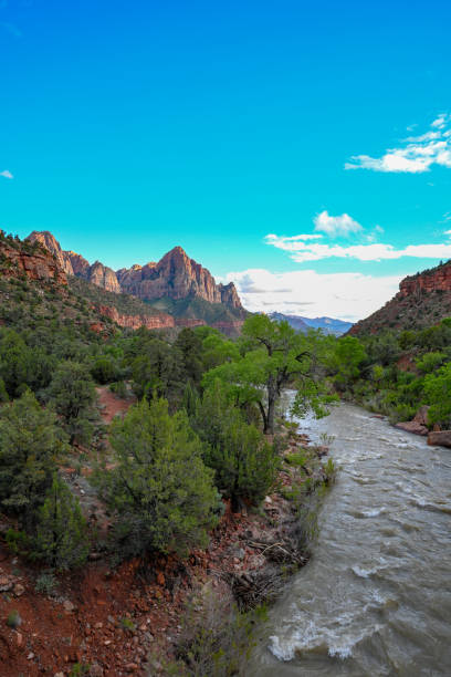 istock Zion National Park 1152671567