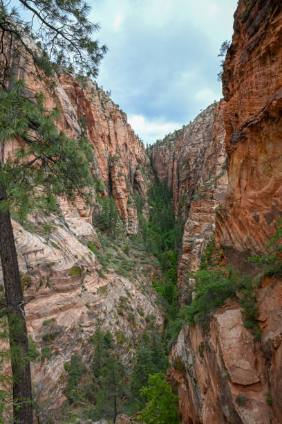 istock Zion National Park 1152673691